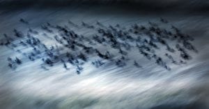 Transformative Wellness Programmes Image