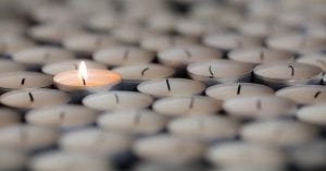 Transformative Resilience Training Image