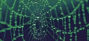 Transformative Fears and phobias image